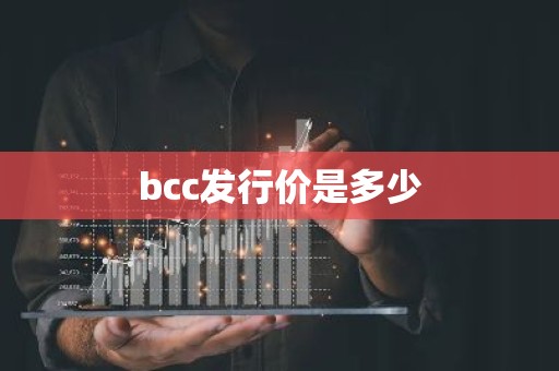 bcc发行价是多少