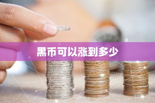 黑币可以涨到多少