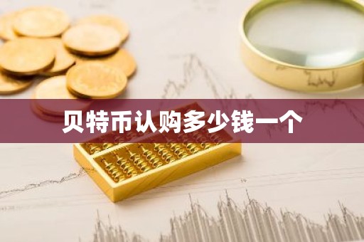 贝特币认购多少钱一个