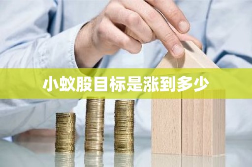 小蚁股目标是涨到多少