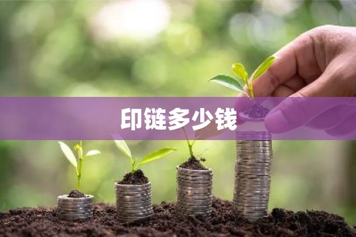 印链多少钱
