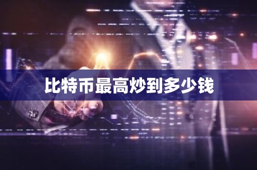 比特币最高炒到多少钱