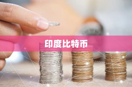 印度比特币