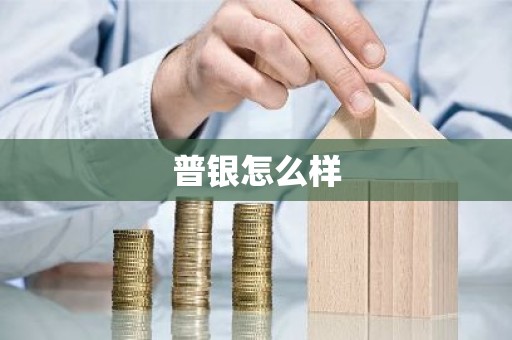 普银怎么样