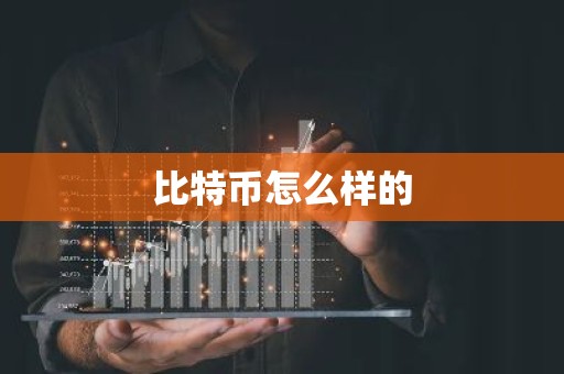 比特币怎么样的