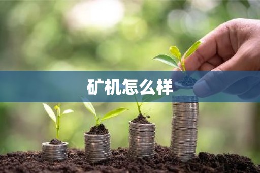 矿机怎么样