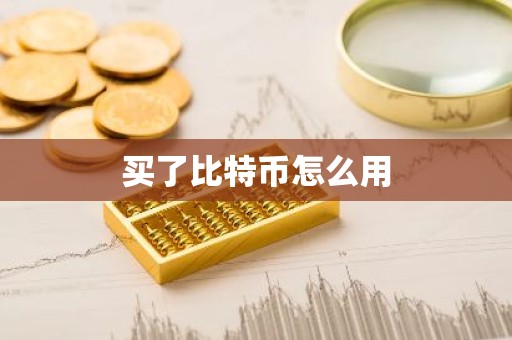 买了比特币怎么用