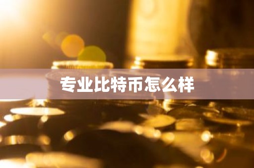 专业比特币怎么样