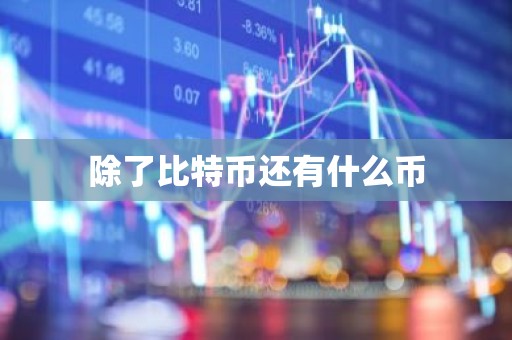 除了比特币还有什么币