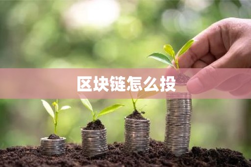 区块链怎么投