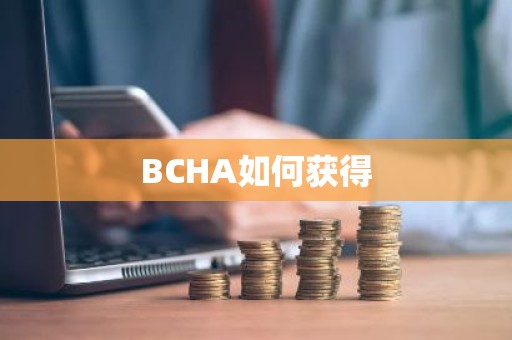 BCHA如何获得