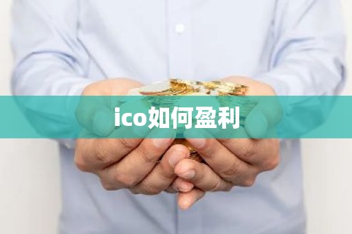 ico如何盈利