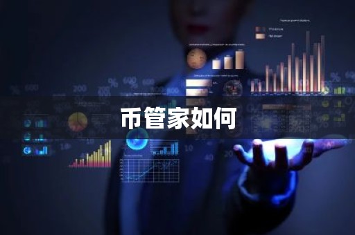 币管家如何