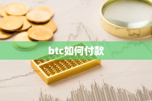 btc如何付款