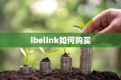 ibelink如何购买