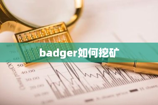 badger如何挖矿