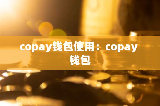 copay钱包使用：copay 钱包