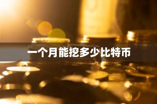 一个月能挖多少比特币