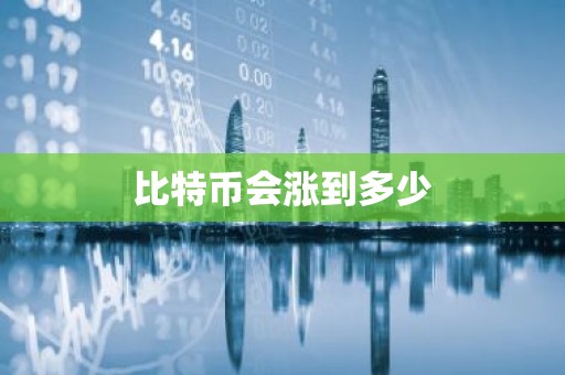 比特币会涨到多少