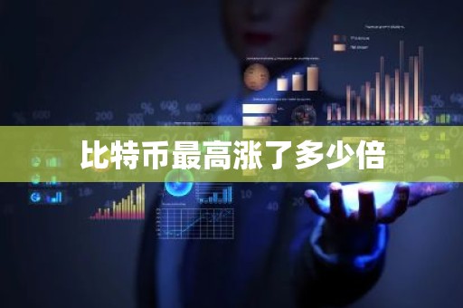 比特币最高涨了多少倍