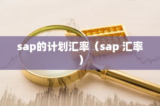 sap的计划汇率（sap 汇率）