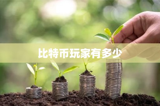 比特币玩家有多少