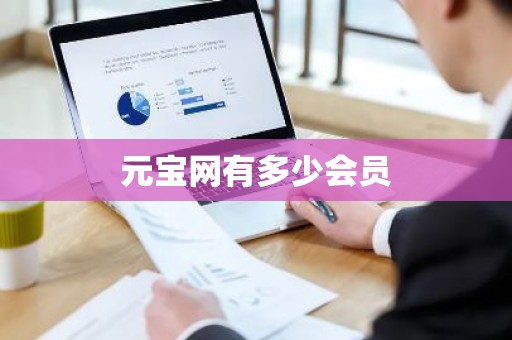 元宝网有多少会员