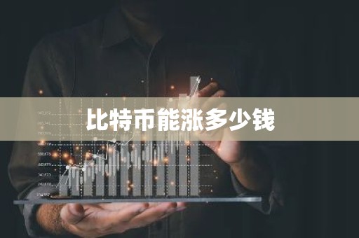 比特币能涨多少钱