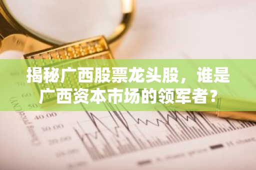 揭秘广西股票龙头股，谁是广西资本市场的领军者？