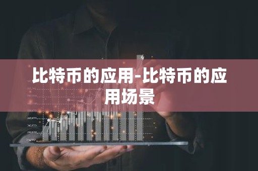 比特币的应用-比特币的应用场景