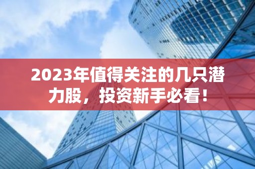 2023年值得关注的几只潜力股，投资新手必看！