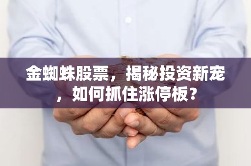 金蜘蛛股票，揭秘投资新宠，如何抓住涨停板？