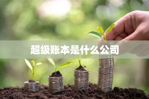 超级账本是什么公司