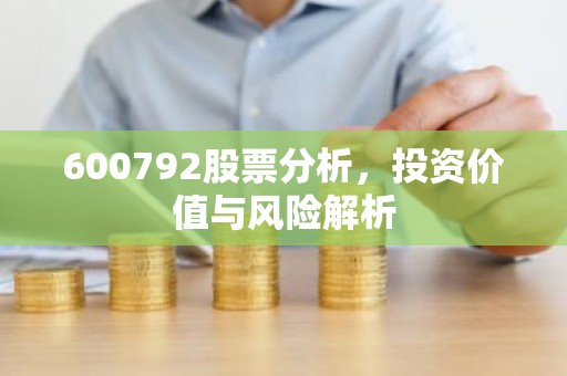 600792股票分析，投资价值与风险解析