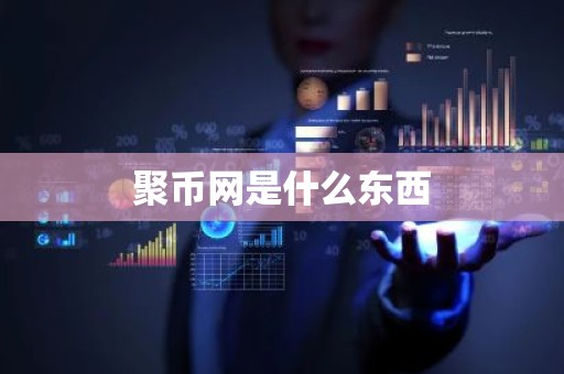 聚币网是什么东西