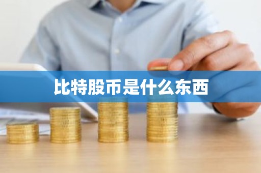 比特股币是什么东西