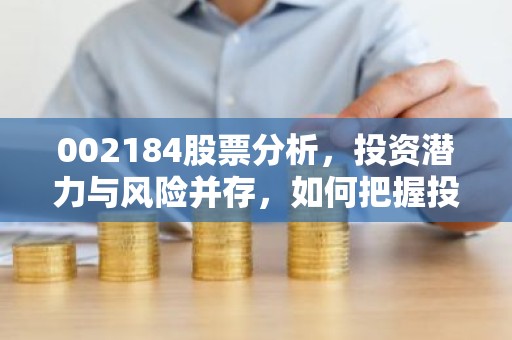 002184股票分析，投资潜力与风险并存，如何把握投资机会？