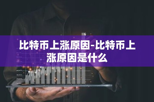 比特币上涨原因-比特币上涨原因是什么