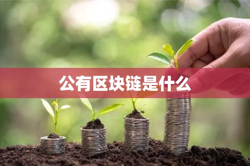公有区块链是什么