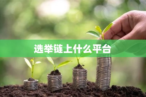 选举链上什么平台