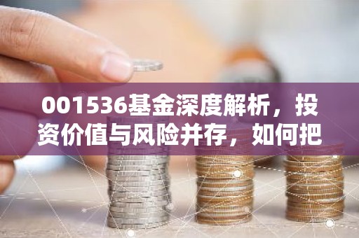 001536基金深度解析，投资价值与风险并存，如何把握投资机遇？