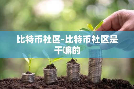 比特币社区-比特币社区是干嘛的