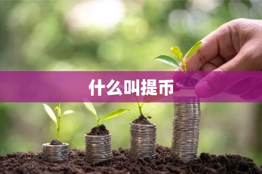 什么叫提币