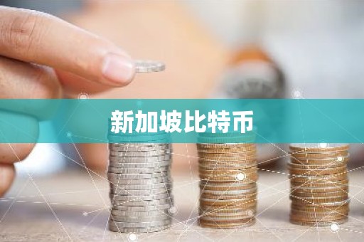 新加坡比特币