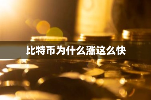 比特币为什么涨这么快