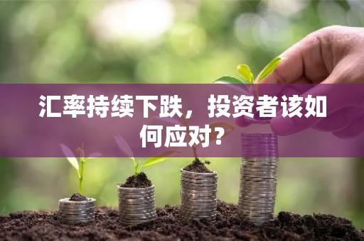 汇率持续下跌，投资者该如何应对？