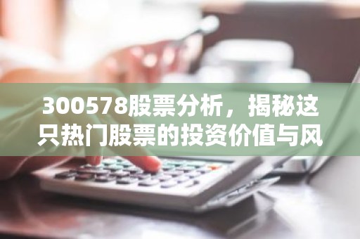 300578股票分析，揭秘这只热门股票的投资价值与风险