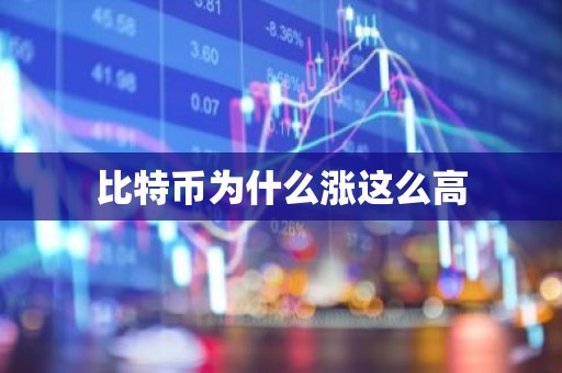 比特币为什么涨这么高