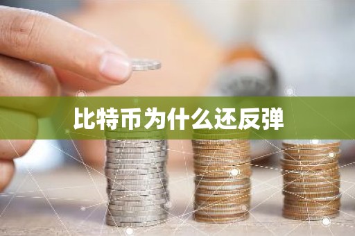 比特币为什么还反弹