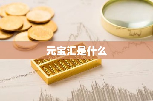 元宝汇是什么